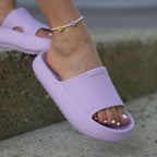 #farbe_violet fairy